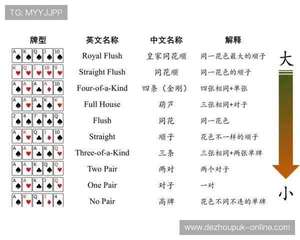 德州扑克王官网游戏规则详细介绍新手必看入门指南